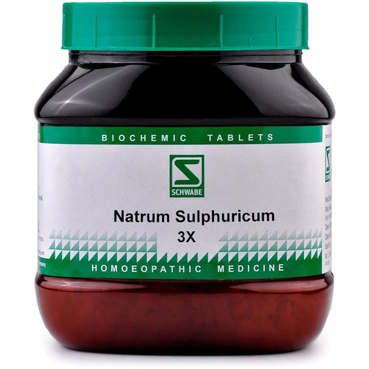 Willmar Schwabe India Natrum Sulphuricum 3X (550g) - Golden-Patel Son