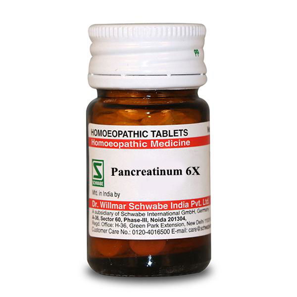 Willmar Schwabe India Pancreatinum 6X (20g) - Golden-Patel Son