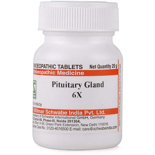 Willmar Schwabe India Pituitary Gland 6X (20g) - Golden-Patel Son