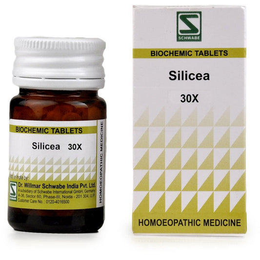 Willmar Schwabe India Silicea 30X (20g) - Golden-Patel Son