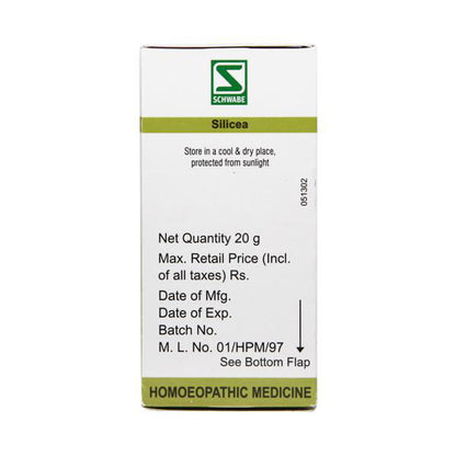 Willmar Schwabe India Silicea 30X (20g) - Golden-Patel Son