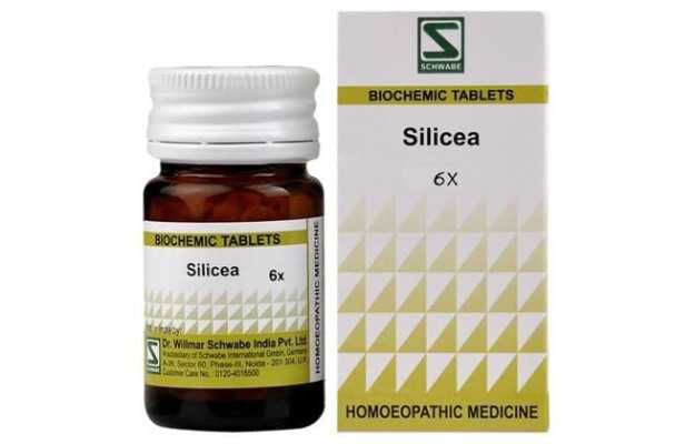 Willmar Schwabe India Silicea 6X (20g) - Golden-Patel Son