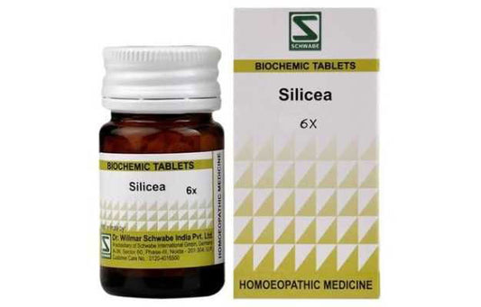 Willmar Schwabe India Silicea 6X (20g) - Golden-Patel Son