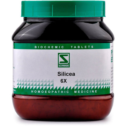 Willmar Schwabe India Silicea 6X (550g) - Golden-Patel Son