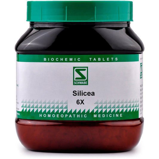 Willmar Schwabe India Silicea 6X (550g) - Golden-Patel Son