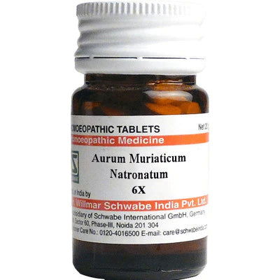 Willmar Schwabe India Strychninum Sulphuricum 6X (20g) - Golden-Patel Son