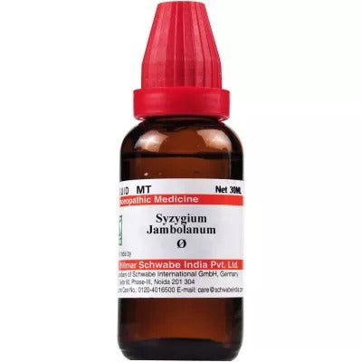 Willmar Schwabe India Syzygium Jambolanum 1X (Q) (30ml) - Golden-Patel Son