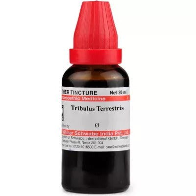 Willmar Schwabe India Tribulus Terrestris 1X (Q) (30ml - Golden-Patel Son