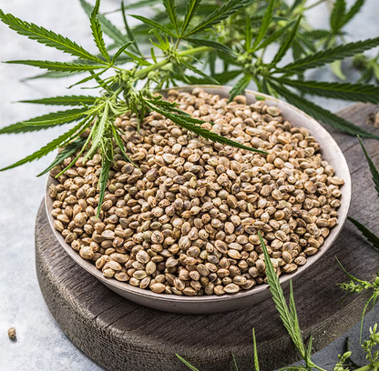 Hemp Seeds (Nutritional Powerhouse)