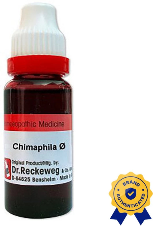 Dr. Reckeweg Chimaphila Umbellata Q (MT) - 20ml