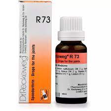 Dr. Reckeweg R73 (Spondarthrin) (22ml) Golden-Patel & Son