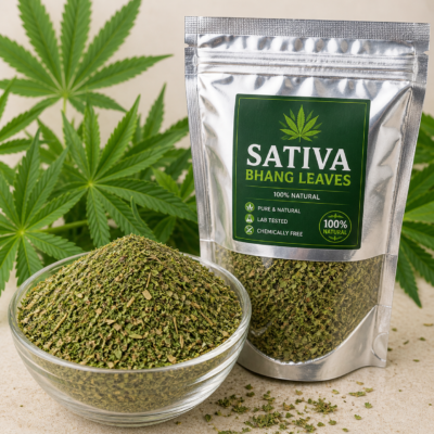 bhang leaves sativa