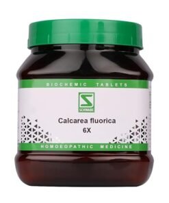 Dr.Willmar Schwabe Calcarea Fluorica 6X 550Gm,by-goldenpatel&son.
