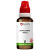 Bjain Cephalandra Indica Mother Tincture Q