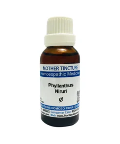 St. George’s Phyllanthus Niruri Mother Tincture Q