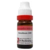 Dr. Reckeweg Insulin Dilution 200 CH