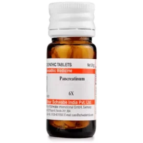 Dr Willmar Schwabe India Pancreatinum Trituration Tablet 6X