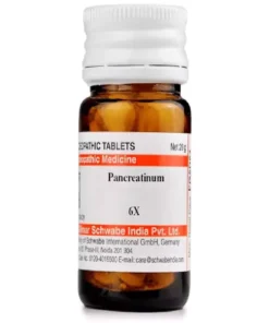 Dr Willmar Schwabe India Pancreatinum Trituration Tablet 6X,goldenpatel&son.