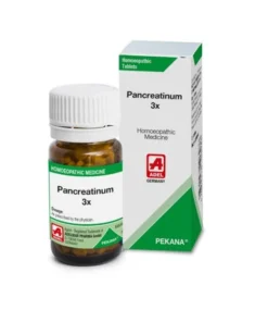 ADEL Pancreatinum Trituration Tablet 3X